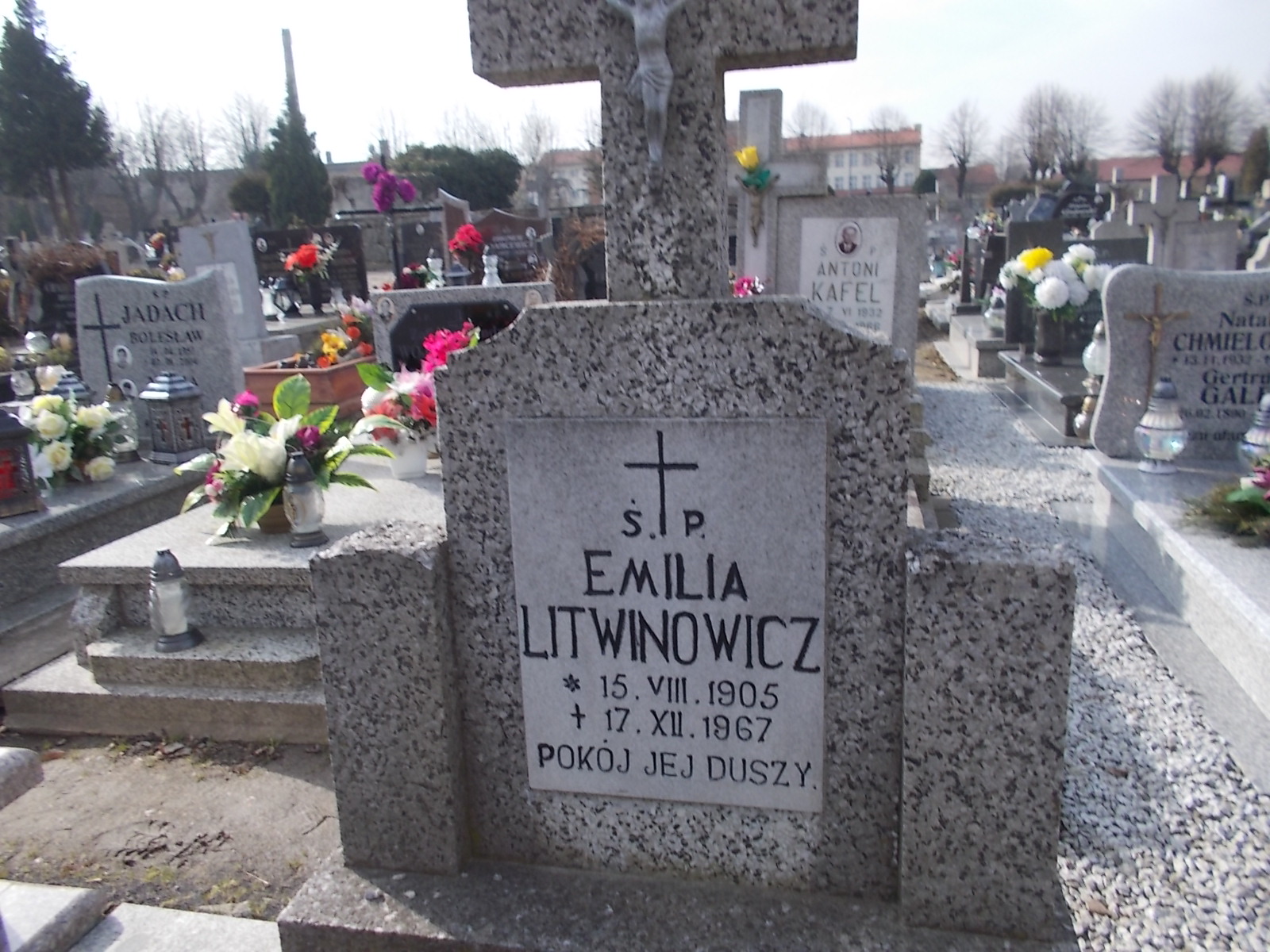 Emilia Litwinowicz wzor37 - Grobonet - Wyszukiwarka osób pochowanych
