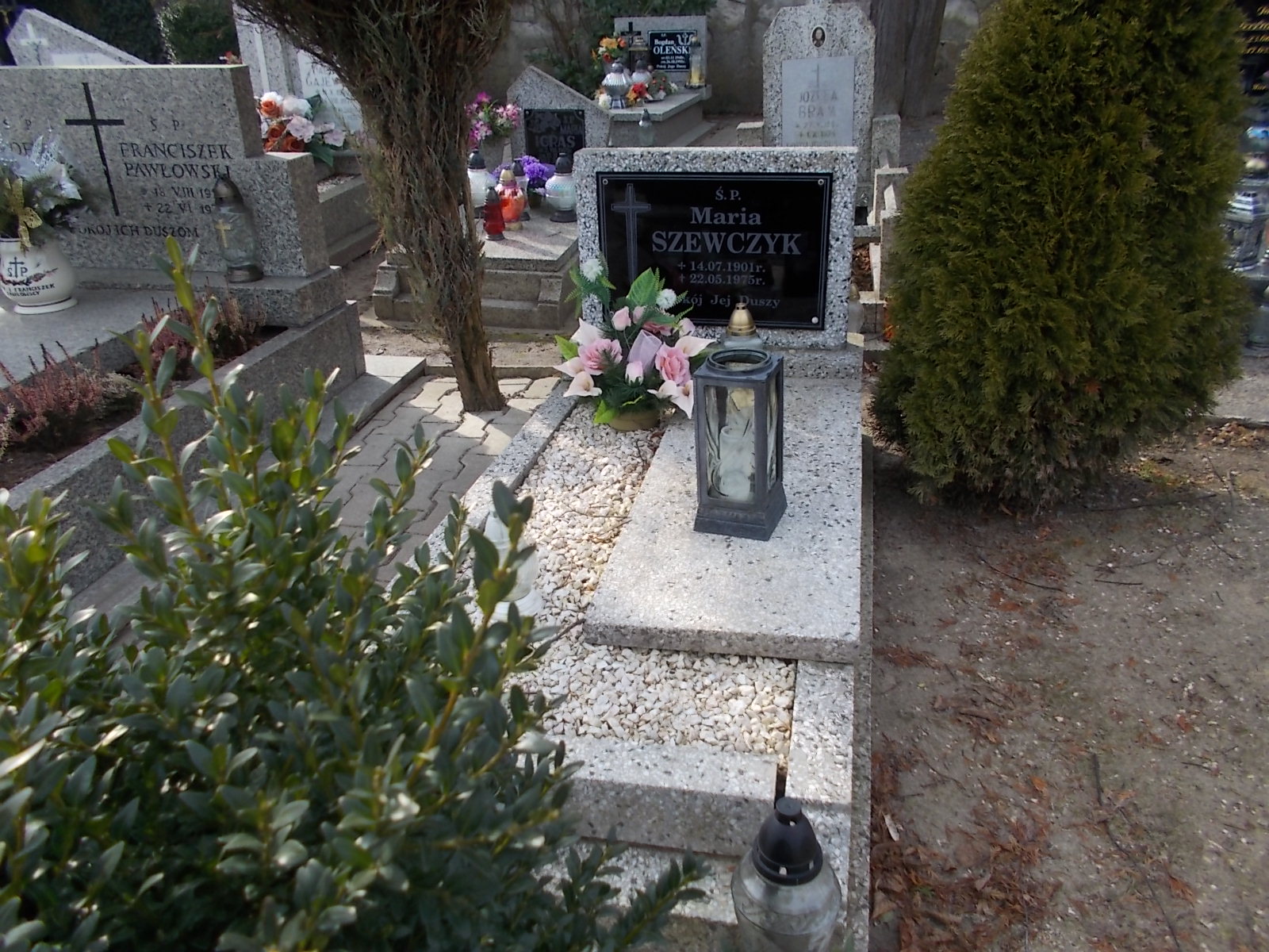 Grób Maria Szewczyk
