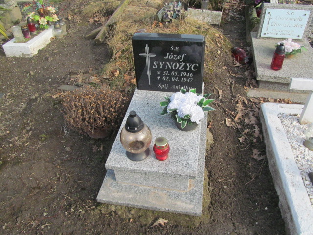 Grób Józef Synożyc
